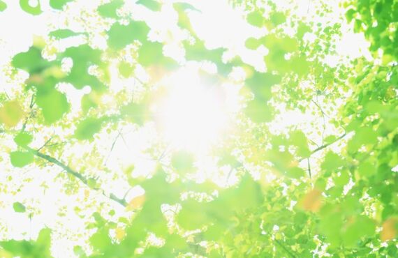 壁に出来てしまった穴！御殿場にある業者、当社で解決します！